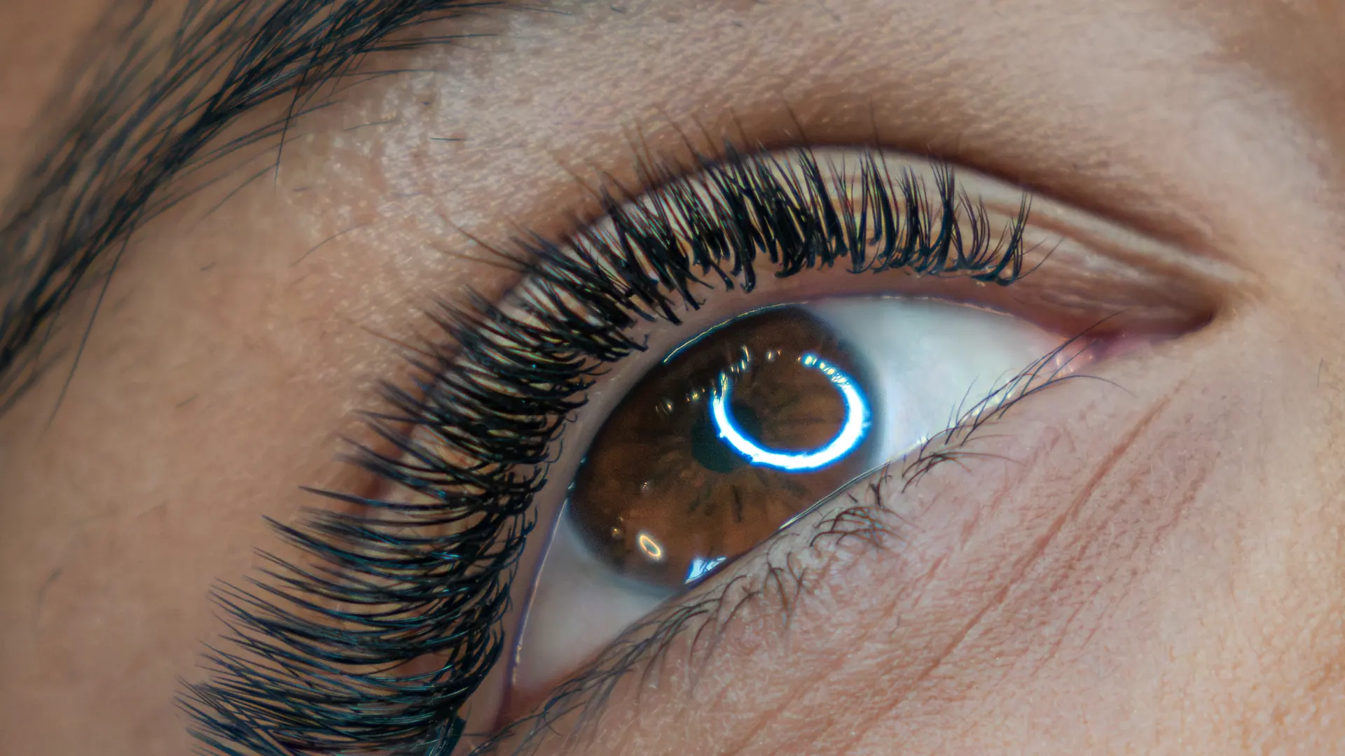 Macro di un occhio castano con extension ciglia volume, firmate Aesthetics 23 Olbia